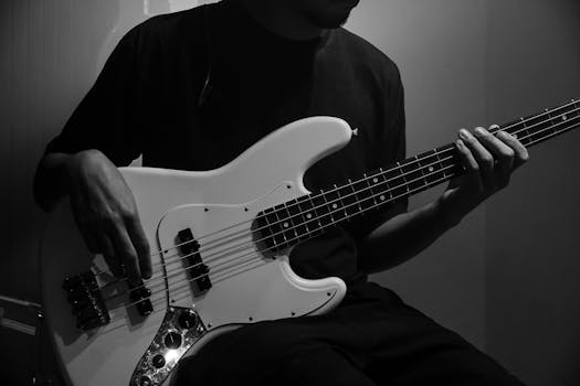 Začínáte s baskytarou? Základy akordů pro začátečníky!