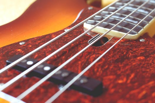 Návod: Jak vybrat první baskytaru pro začátečníka [2024]