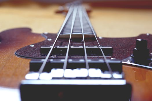 Jak Vybrat Správné Baskytarové Struny Pro Váš Hudební Styl